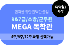 9&7/ҹ/ MEGA а