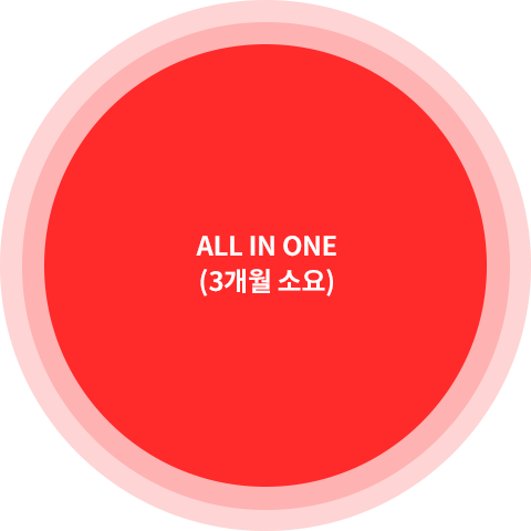 ALL IN ONE (3 ҿ)
