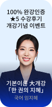 기본이론 大개강「한 권의 지혜」국어 임지혜